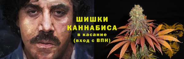 первитин Нея