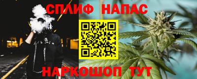 спайс Берёзовский