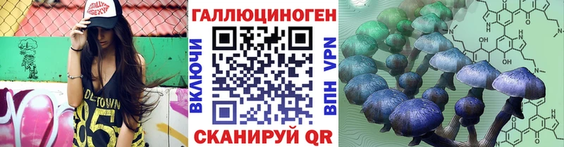 Псилоцибиновые грибы GOLDEN TEACHER  наркошоп  Братск 