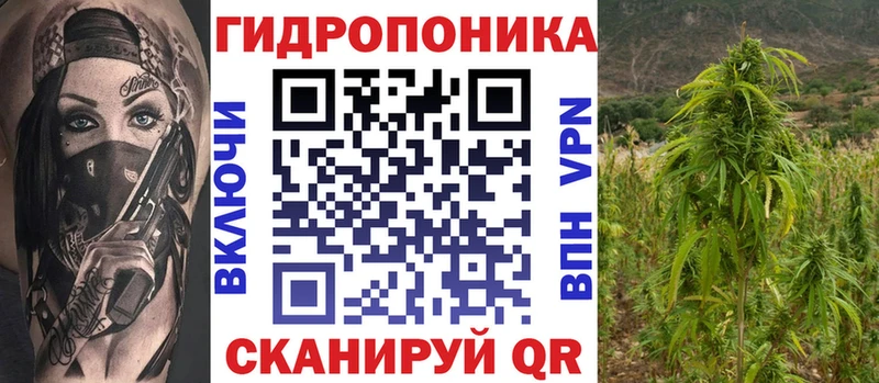 купить наркоту  Братск  Канабис SATIVA & INDICA 